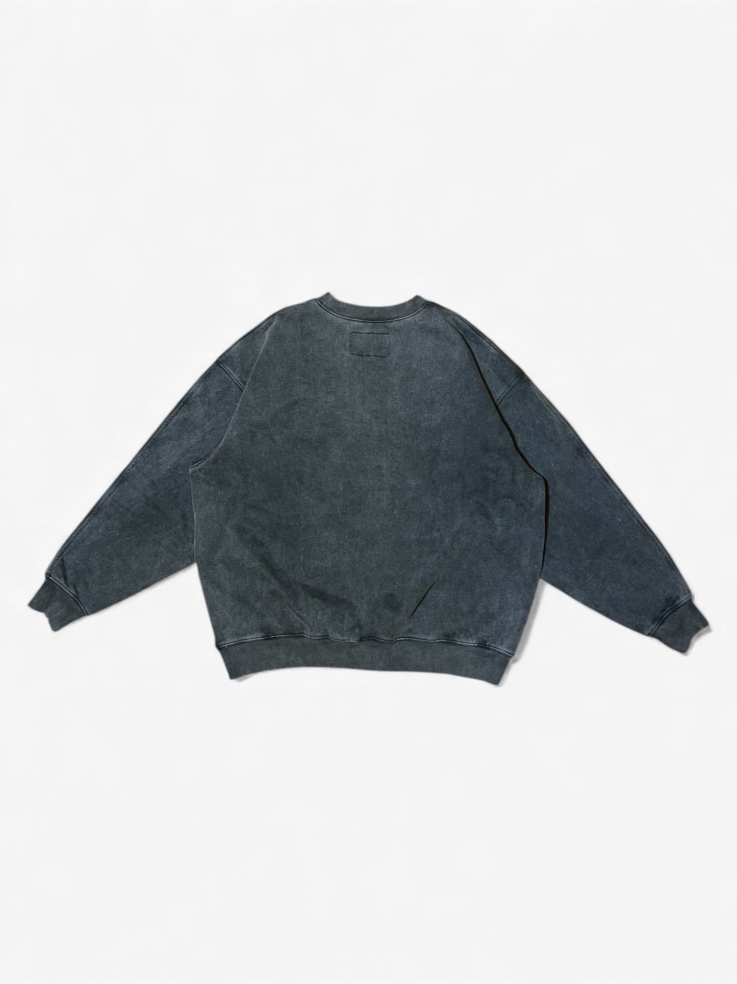L.H.S SWEATSHIRT DG